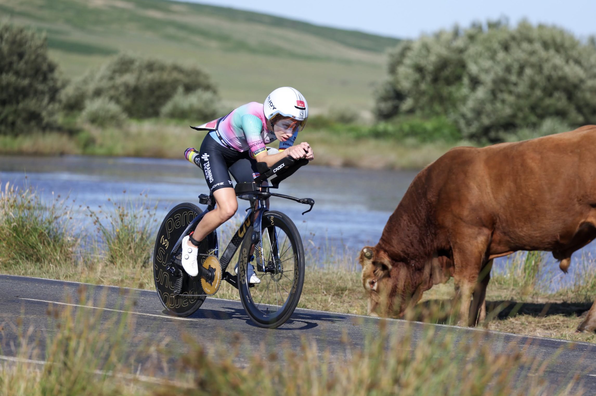 Crash, Cows, and a Three-Peat: A Wild Day at Ironman 70.3 Swansea