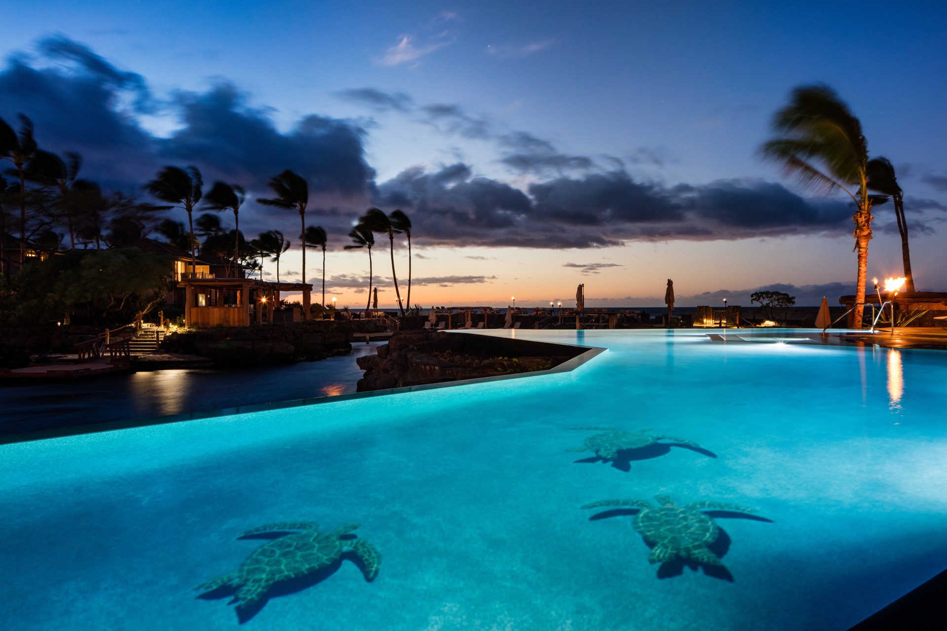Top Training Camp Destinations