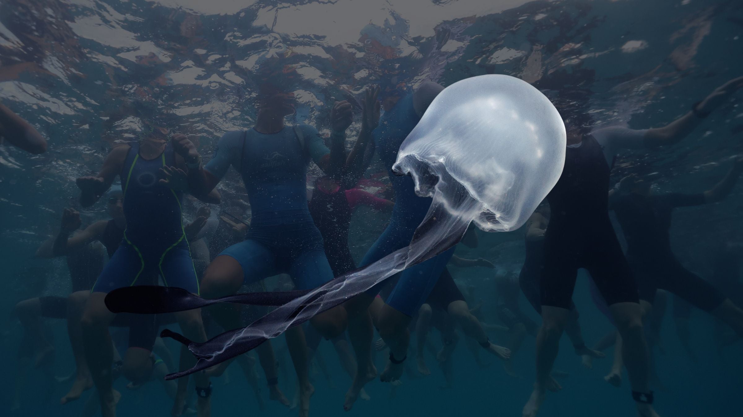 The Ill-Timed Jellyfish Bloom and What It Means for Ironman Kona
