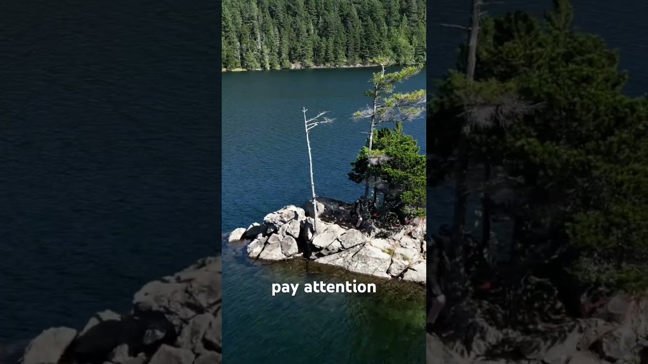 Ötillö Orcas Island ✌️ full video coming soon